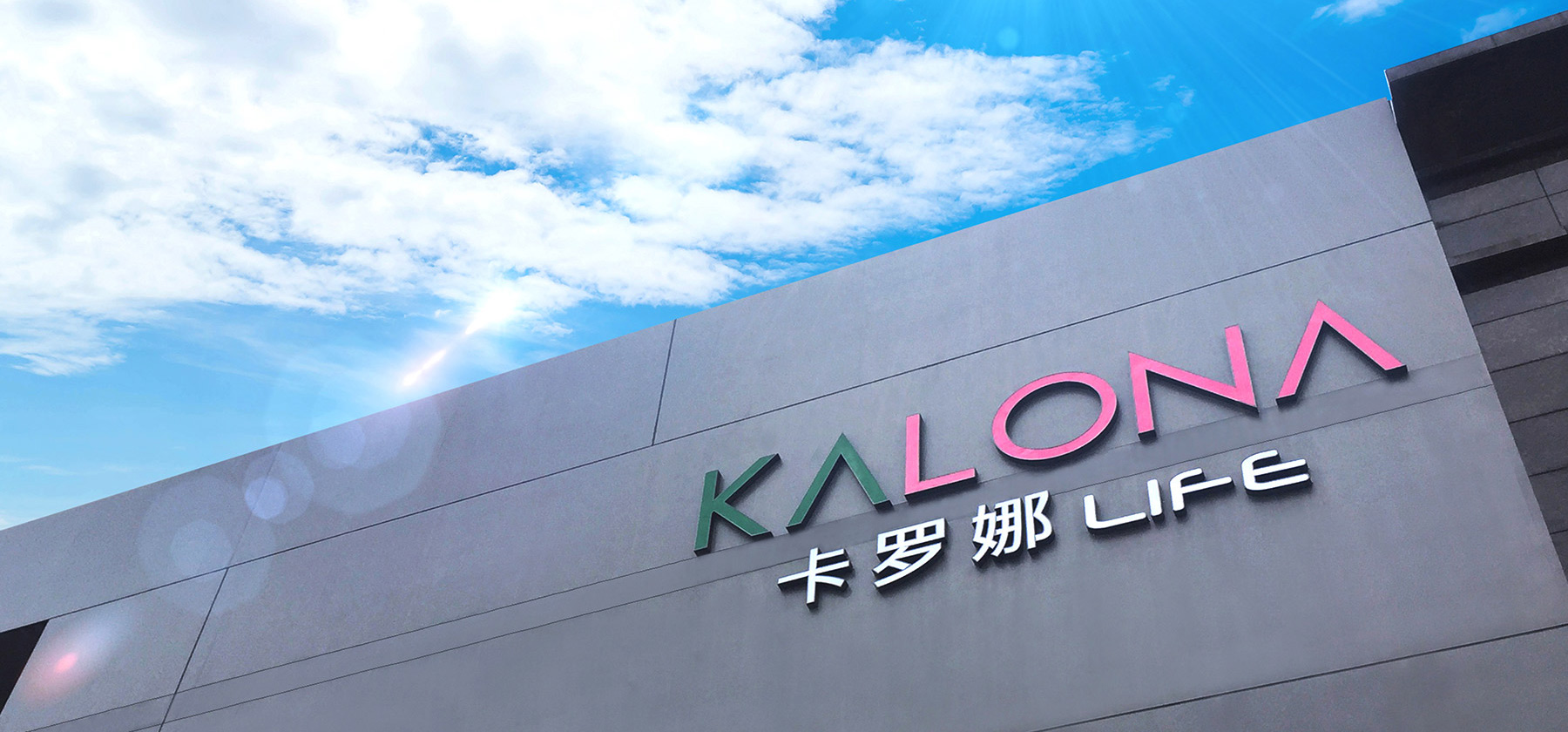 公司简介banner